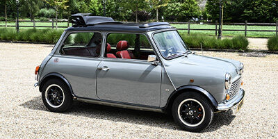 Rover Mini